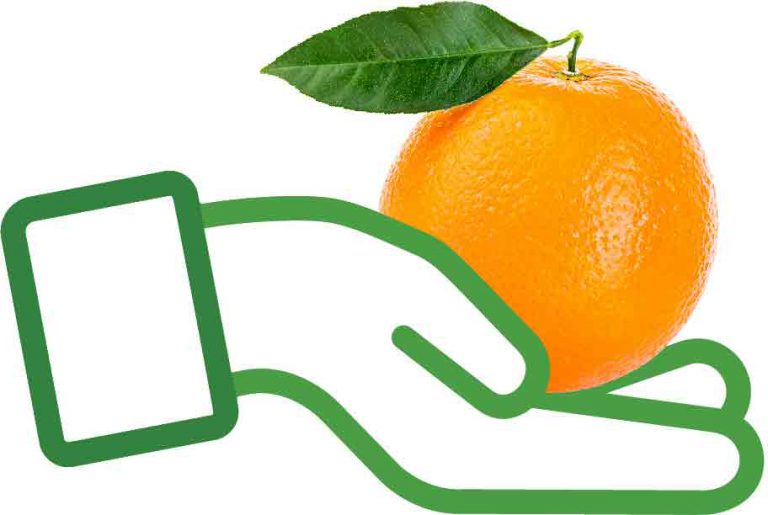 OK Produce, Fresno CA The Fresh Revolution Produce for the People!